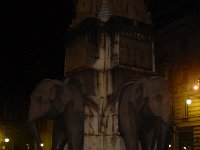 DSC06516
